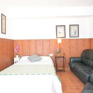 Estudio Estándar